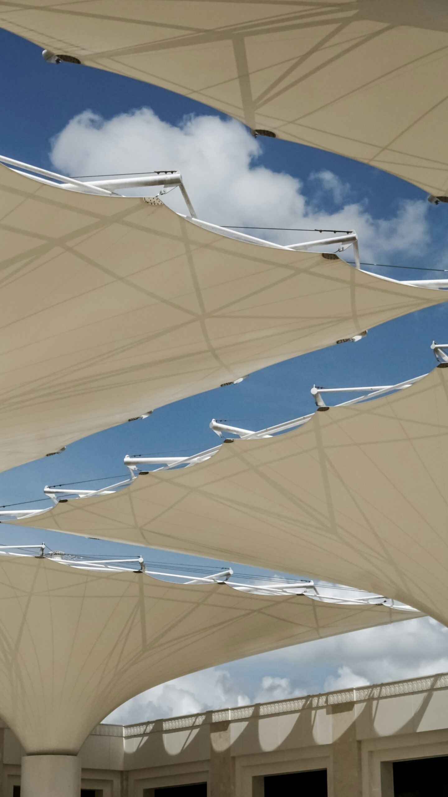 White tensile fabric canopy roofs under a clear sky