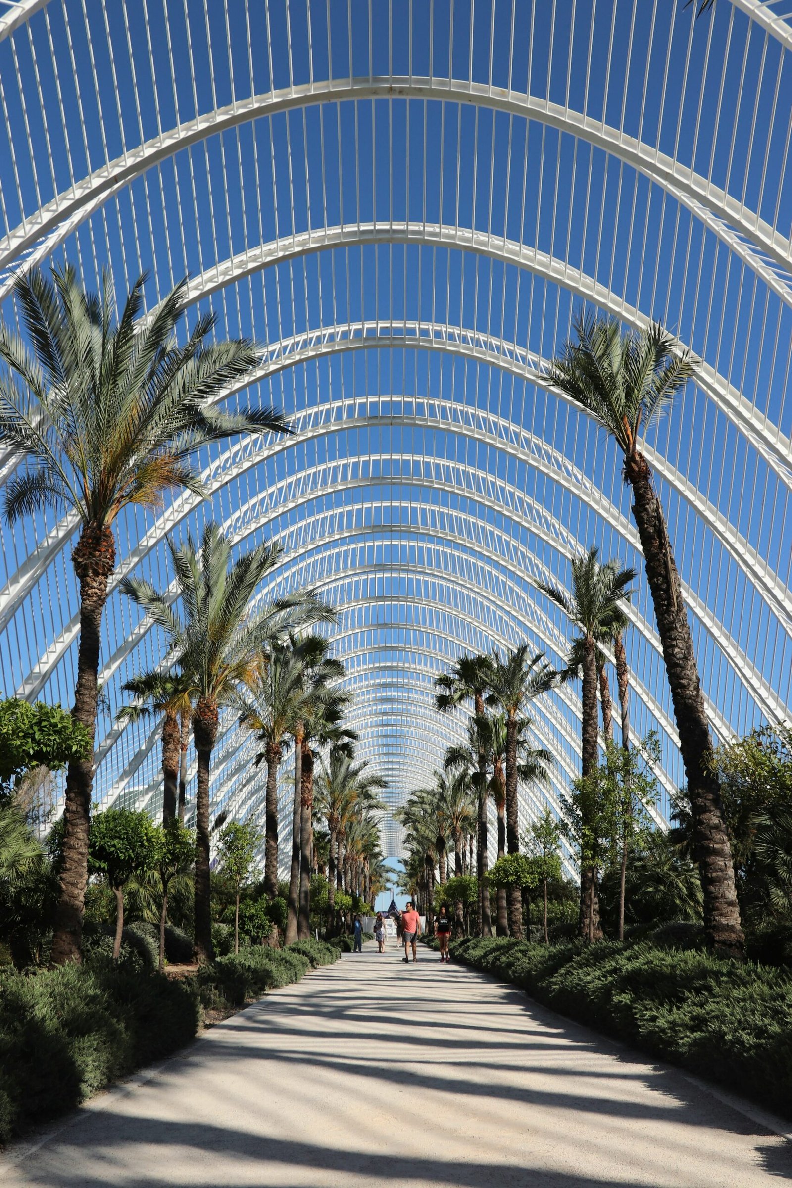 A curved white modern building beside palm trees in Los Angeles sunshine