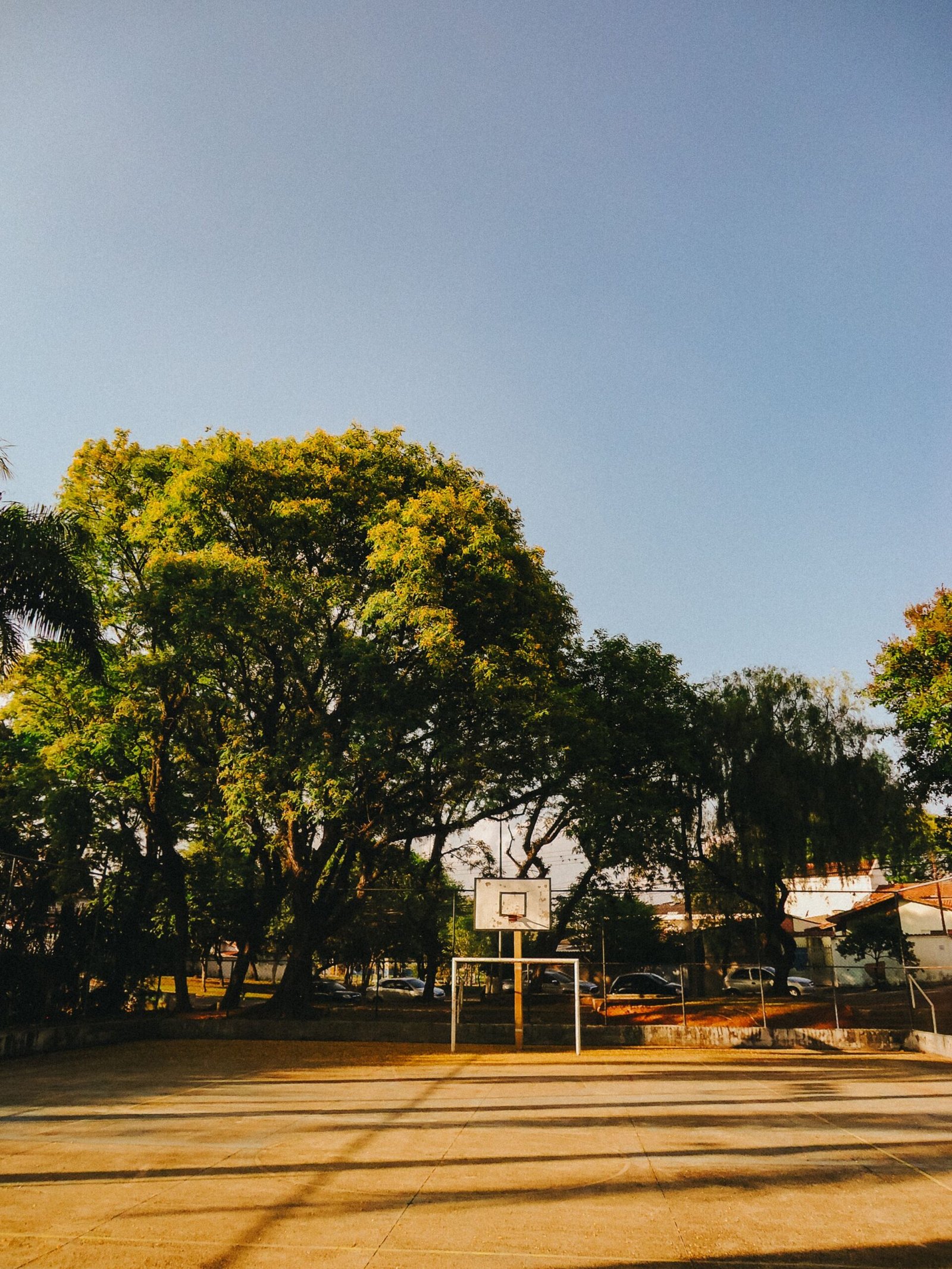 An outdoor basketball court in a sunlit park, framed by trees