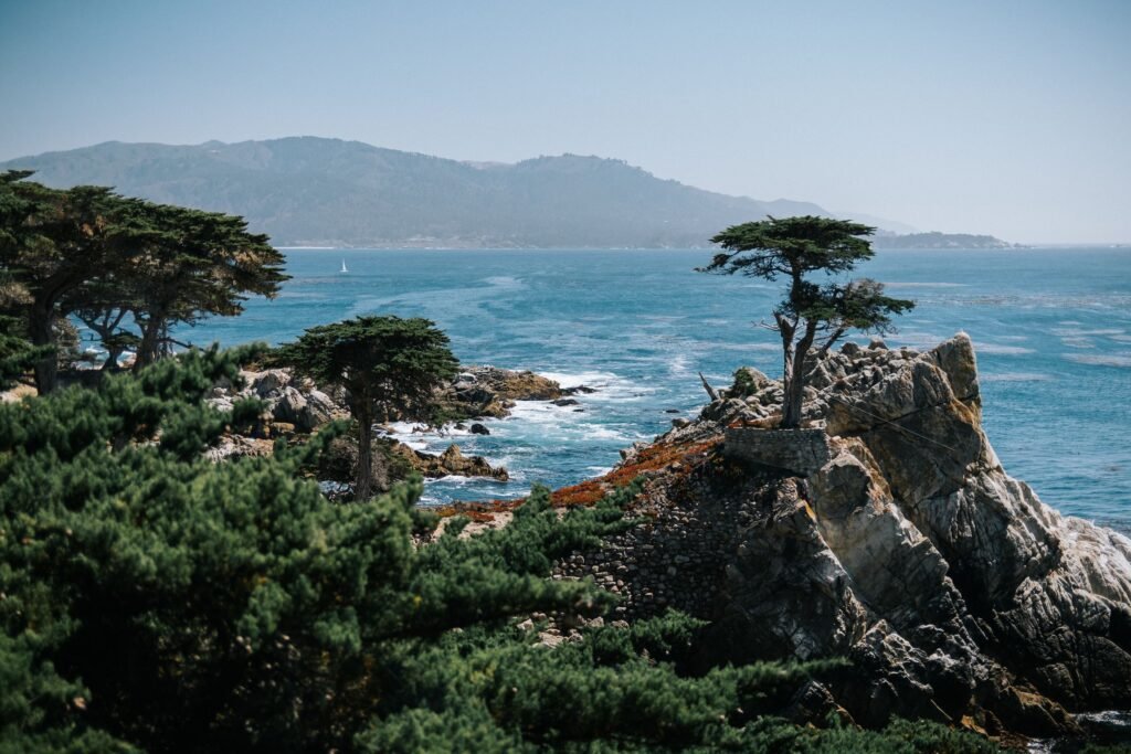 Cypress trees and rocky shore along the Pacific coast of the Monterey Peninsula