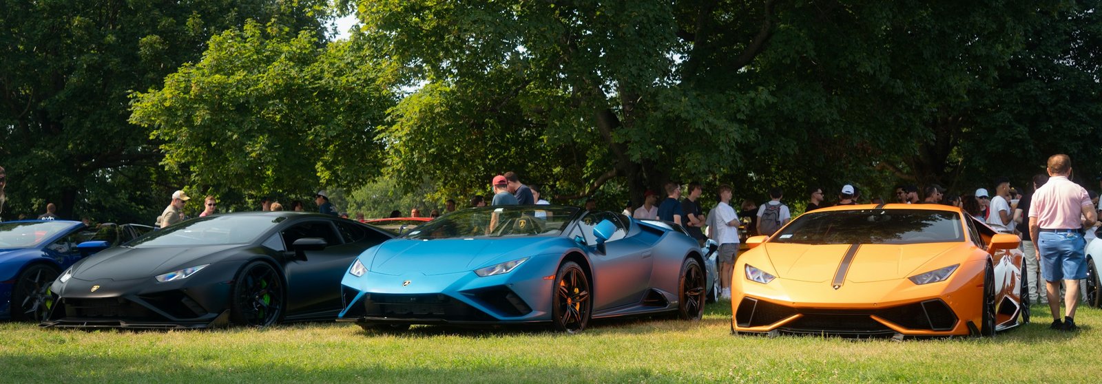 A low supercar on a lawn at an outdoor car show