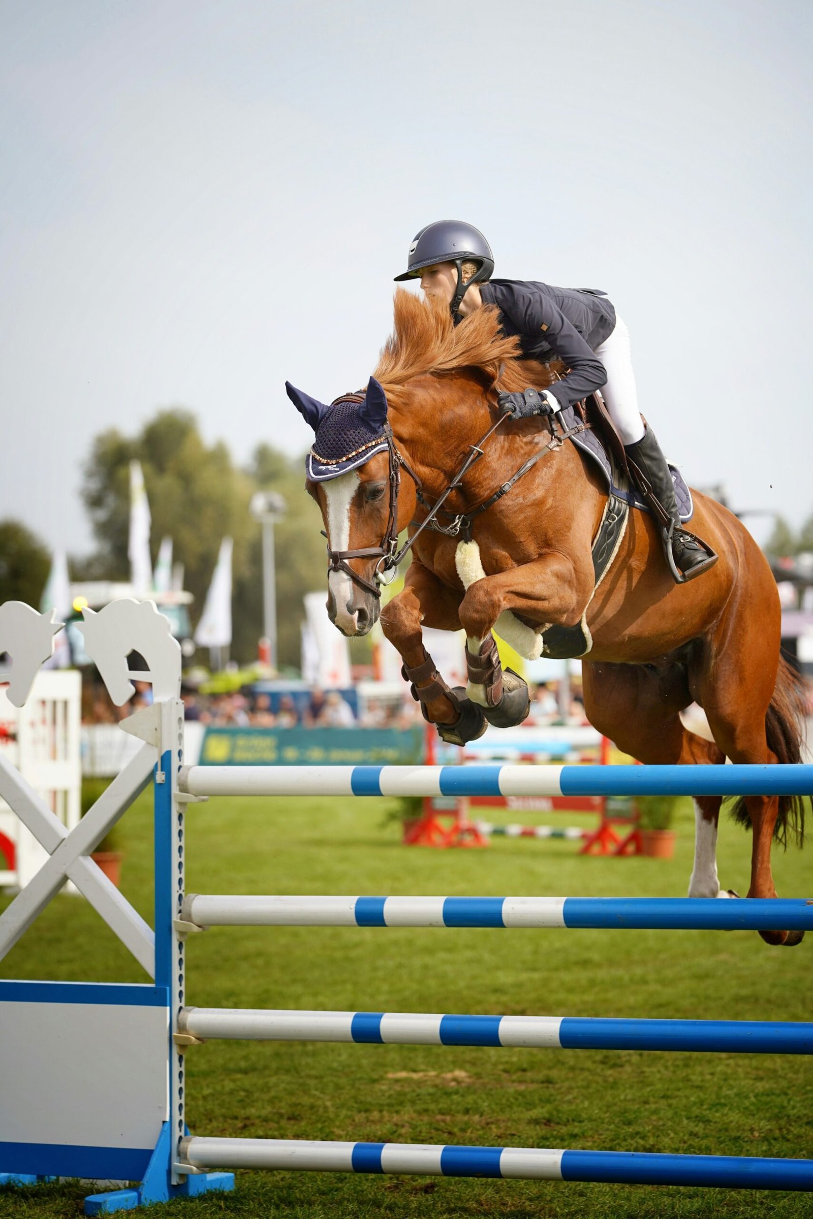 A horse jumping a fence in a show jumping arena