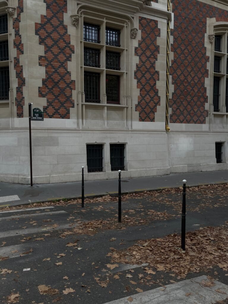 A tree-lined Paris street with cream stone buildings in autumn light
