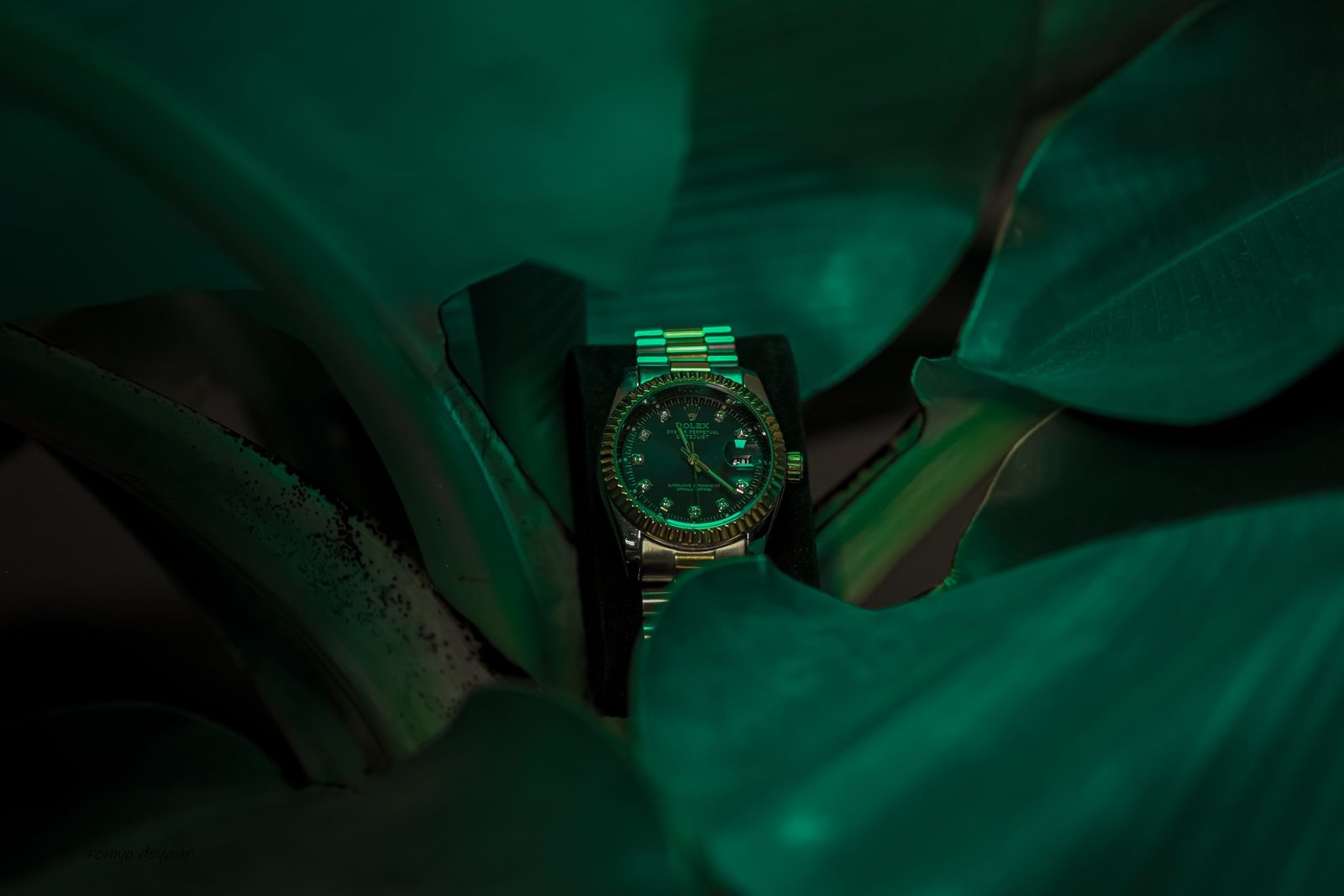 A Rolex wristwatch set among bright green leaves