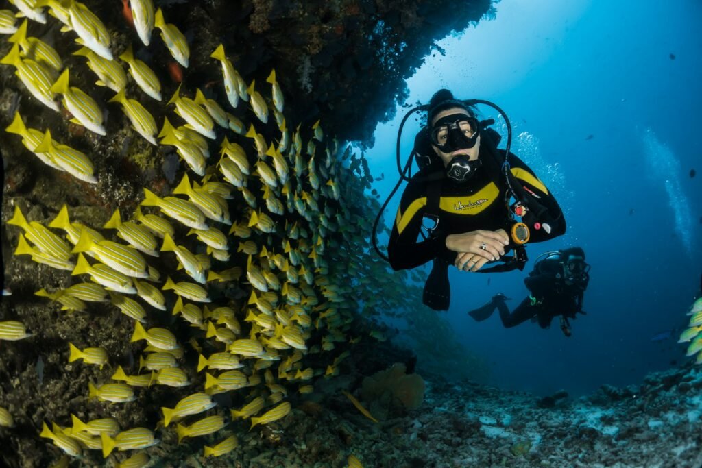Two scuba divers swimming in clear blue water
